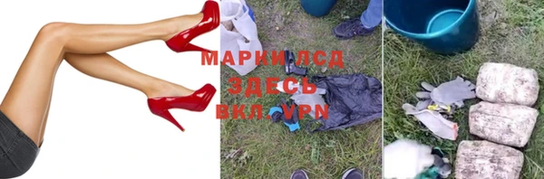 прущие грибы Всеволожск