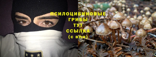 прущая мука Покровск