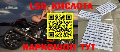 эйфоретик Кингисепп