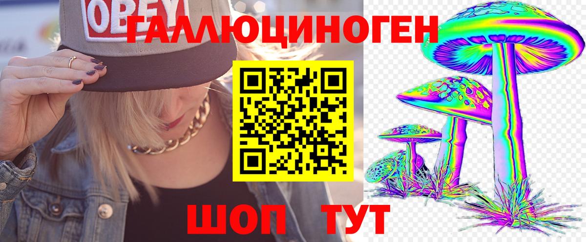 Псилоцибиновые грибы Cubensis Балтийск