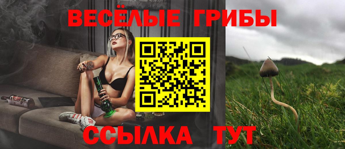 Балтийск  Галлюциногенные грибы MAGIC MUSHROOMS  Вход с VPN 
