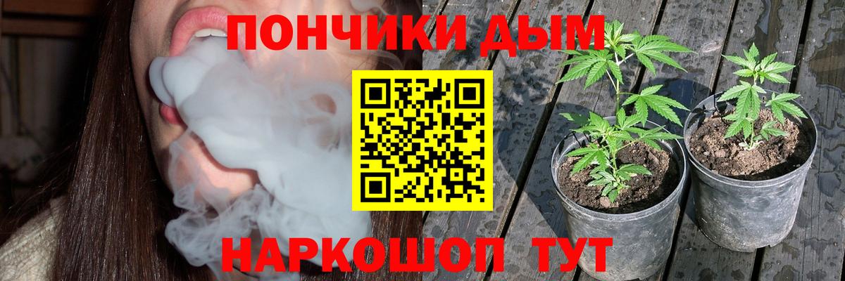 Каннабис Балтийск